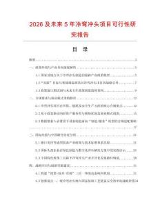 2026及未來5年冷彎沖頭項目可行性研究報告