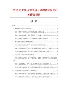 2026及未來5年雙組分結構膠項目可行性研究報告