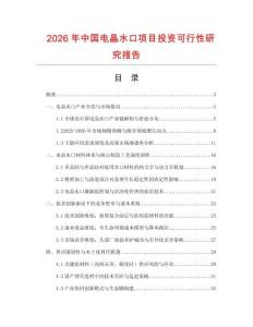 2026年中國(guó)電晶水口項(xiàng)目投資可行性研究報(bào)告