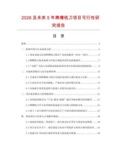 2026及未來5年榫槽銑刀項目可行性研究報告