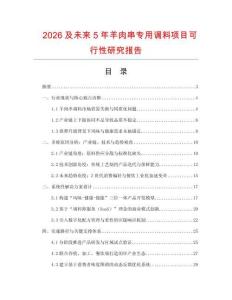 2026及未來5年羊肉串專用調(diào)料項目可行性研究報告