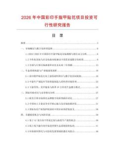 2026年中國彩印手指甲貼花項目投資可行性研究報告