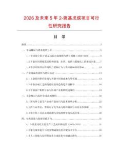 2026及未來5年2-巰基戊烷項目可行性研究報告