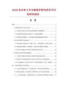 2026及未來5年功能型護(hù)臍包項目可行性研究報告