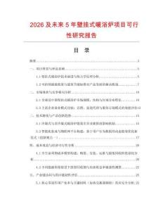 2026及未來5年壁掛式暖浴爐項(xiàng)目可行性研究報(bào)告
