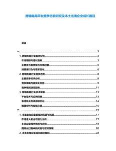跨境電商平臺競爭態(tài)勢研究及本土出海企業(yè)成長路徑