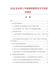 2026及未來5年鋁制軟管項(xiàng)目可行性研究報(bào)告