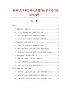 2026及未來5年大白花石材項目可行性研究報告
