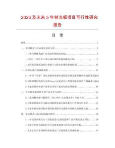 2026及未來5年刨光板項目可行性研究報告
