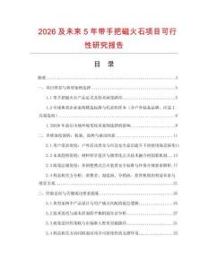 2026及未來5年帶手把磁火石項(xiàng)目可行性研究報(bào)告