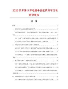 2026及未來5年電腦牛皮紙項目可行性研究報告