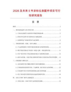 2026及未來5年非標(biāo)儀表配件項目可行性研究報告