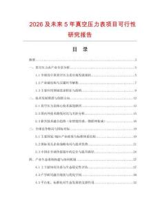 2026及未來5年真空壓力表項目可行性研究報告