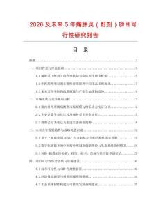 2026及未來5年痛腫靈（酊劑）項(xiàng)目可行性研究報(bào)告