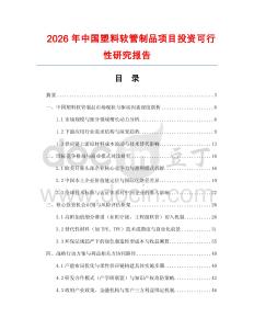 2026年中國塑料軟管制品項目投資可行性研究報告