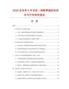 2026及未來5年毛皮／绱鞋幫縫紉機項目可行性研究報告