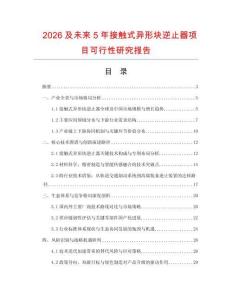 2026及未來(lái)5年接觸式異形塊逆止器項(xiàng)目可行性研究報(bào)告