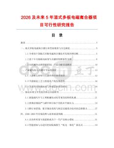 2026及未來5年濕式多板電磁離合器項目可行性研究報告