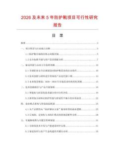 2026及未來5年防護靴項目可行性研究報告