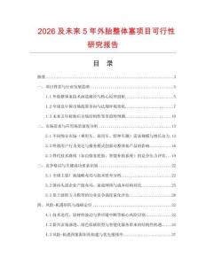 2026及未來(lái)5年外胎整體塞項(xiàng)目可行性研究報(bào)告