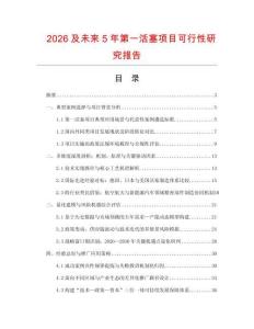 2026及未來5年第一活塞項目可行性研究報告