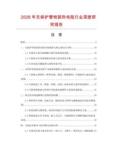 2026年無保護管鎧裝熱電阻行業(yè)深度研究報告