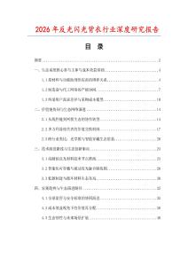 2026年反光閃光背衣行業深度研究報告