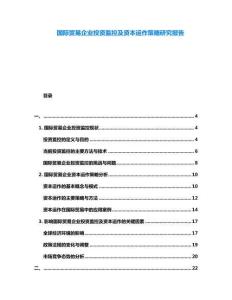國際貿(mào)易企業(yè)投資監(jiān)控及資本運(yùn)作策略研究報(bào)告