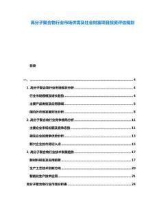 高分子聚合物行業(yè)市場供需及社會財富項目投資評估規(guī)劃