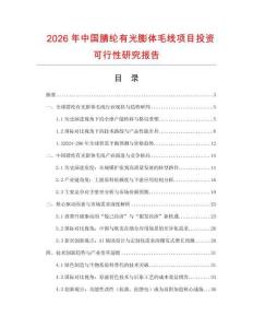 2026年中國腈綸有光膨體毛線項目投資可行性研究報告