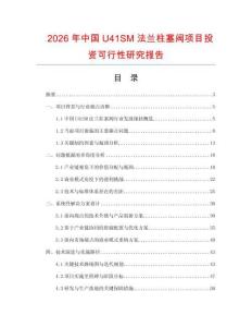 2026年中國U41SM法蘭柱塞閥項目投資可行性研究報告