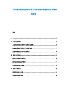 海深淵海資源勘探開發(fā)技術(shù)突破商業(yè)價(jià)值評(píng)估投資發(fā)展研究報(bào)告