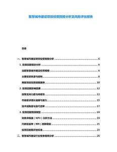 智慧城市建設(shè)項目投資回報分析及風(fēng)險評估報告