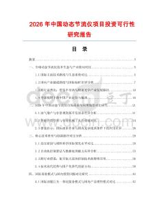 2026年中國動態節流儀項目投資可行性研究報告