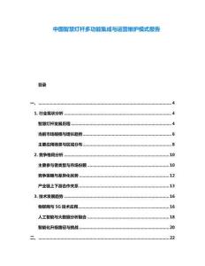 中國(guó)智慧燈桿多功能集成與運(yùn)營(yíng)維護(hù)模式報(bào)告