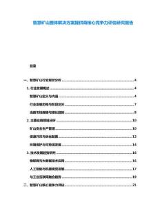 智慧礦山整體解決方案提供商核心競爭力評(píng)估研究報(bào)告