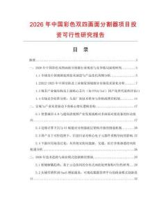 2026年中国彩色双四画面分割器项目投资可行性研究报告