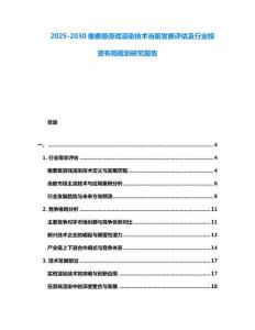 2025-2030像素級(jí)游戲渲染技術(shù)當(dāng)前發(fā)展評(píng)估及行業(yè)投資布局規(guī)劃研究報(bào)告