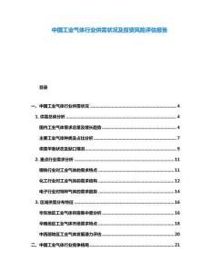 中國(guó)工業(yè)氣體行業(yè)供需狀況及投資風(fēng)險(xiǎn)評(píng)估報(bào)告