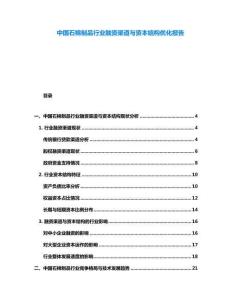 中國(guó)石棉制品行業(yè)融資渠道與資本結(jié)構(gòu)優(yōu)化報(bào)告