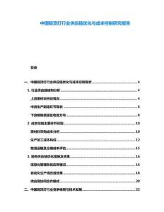 中國吸頂燈行業供應鏈優化與成本控制研究報告