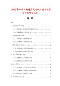 2026年中國工頻感應式電鍋爐項目投資可行性研究報告