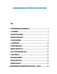 公路橋梁隧道智慧化養(yǎng)護管理效率提升技術(shù)研究報告