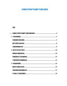 中國(guó)電子特種氣體國(guó)產(chǎn)化替代路徑