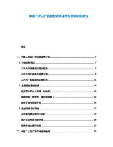 中國(guó)二次元廣告投放效果評(píng)估與營(yíng)銷創(chuàng)新報(bào)告