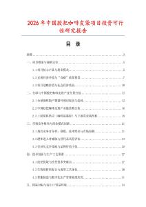 2026年中國膠把咖啡皮袋項(xiàng)目投資可行性研究報(bào)告