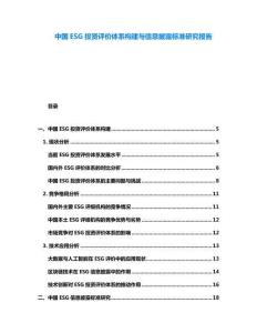 中國ESG投資評價體系構(gòu)建與信息披露標(biāo)準(zhǔn)研究報告