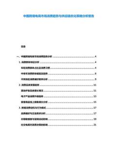 中國跨境電商市場消費趨勢與供應鏈優化策略分析報告