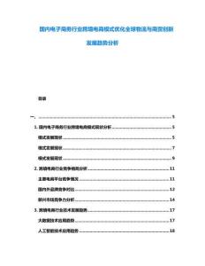國內(nèi)電子商務(wù)行業(yè)跨境電商模式優(yōu)化全球物流與商貿(mào)創(chuàng)新發(fā)展趨勢分析