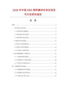 2026年中國DEK鋼網(wǎng)擦拭布項(xiàng)目投資可行性研究報(bào)告